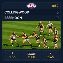 Betibet - AFL Betting - Australian Rules Football Sports Betting